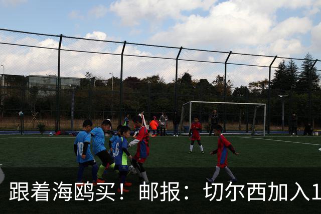 跟着海鸥买！邮报：切尔西加入18岁边锋竞价，布莱顿已报价2050镑